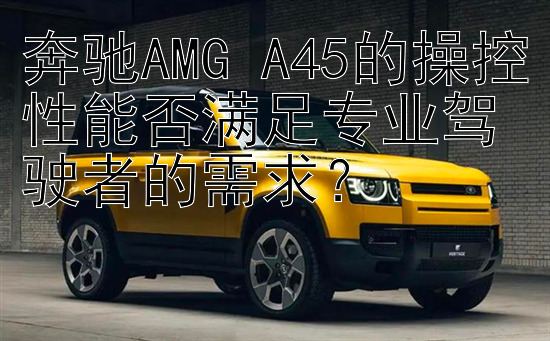 奔驰AMG A45的操控性能否满足专业驾驶者的需求？