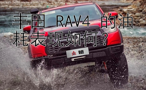 丰田 RAV4 的油耗表现如何？