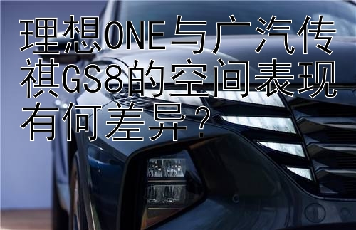 理想ONE与广汽传祺GS8的空间表现有何差异？