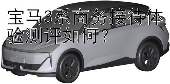 宝马3系商务接待体验测评如何？