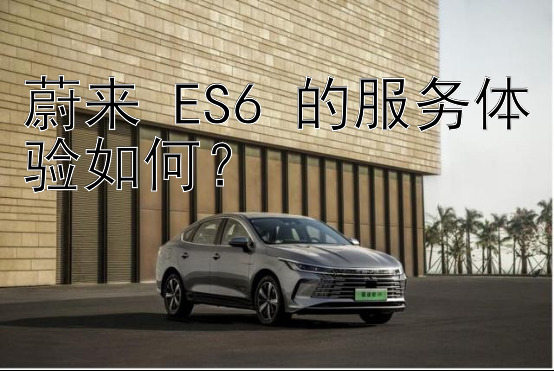 蔚来 ES6 的服务体验如何？