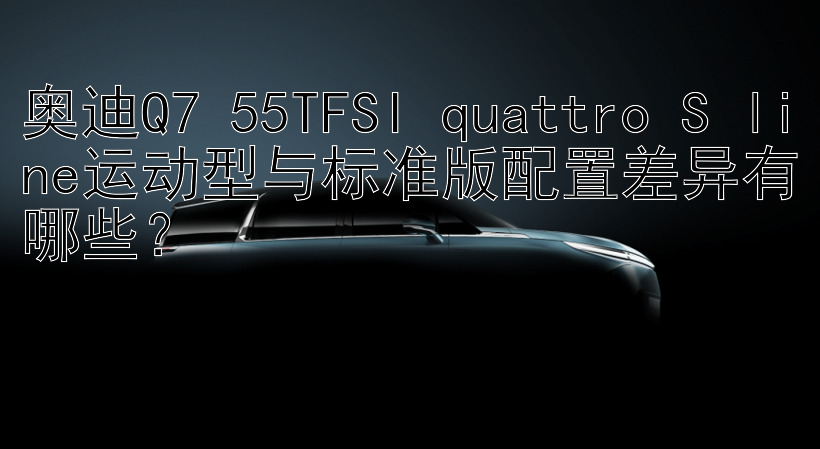 奥迪Q7 55TFSI quattro S line运动型与标准版配置差异有哪些？