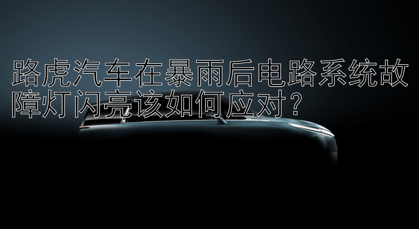 路虎汽车在暴雨后电路系统故障灯闪亮该如何应对？