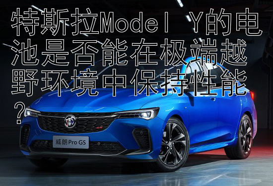 特斯拉Model Y的电池是否能在极端越野环境中保持性能？