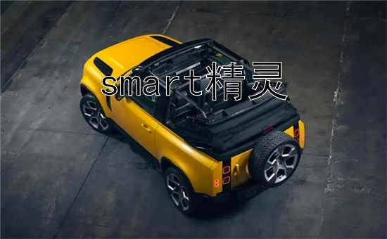 smart精灵#4的上市时间与价格预测有哪些细节？