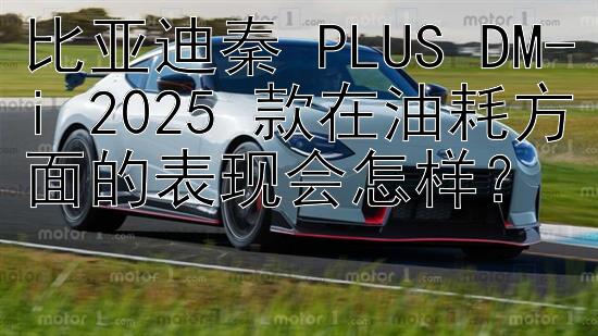 比亚迪秦 PLUS DM-i 2025 款在油耗方面的表现会怎样？