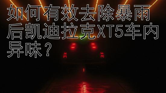 如何有效去除暴雨后凯迪拉克XT5车内异味？