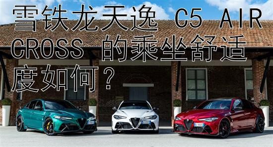 雪铁龙天逸 C5 AIRCROSS 的乘坐舒适度如何？