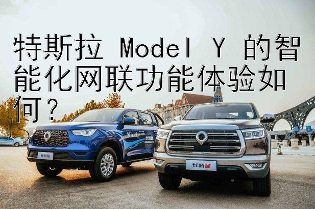 特斯拉 Model Y 的智能化网联功能体验如何？