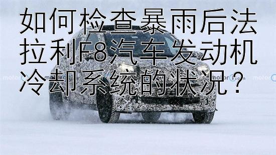 如何检查暴雨后法拉利F8汽车发动机冷却系统的状况？