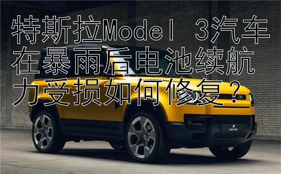 特斯拉Model 3汽车在暴雨后电池续航力受损如何修复？