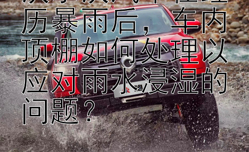 沃尔沃汽车在经历暴雨后，车内顶棚如何处理以应对雨水浸湿的问题？