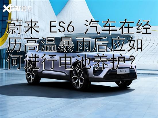 蔚来 ES6 汽车在经历高温暴雨后应如何进行电池养护？