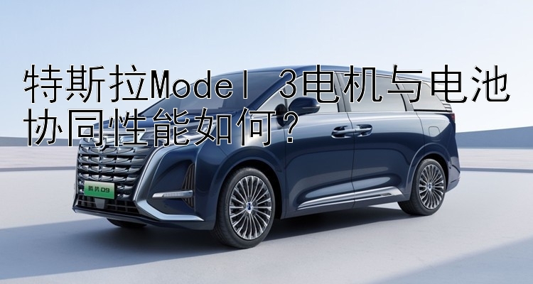 特斯拉Model 3电机与电池协同性能如何？