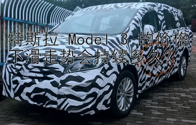 特斯拉 Model 3 的价格下滑走势会持续多久？