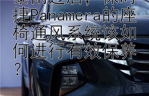 暴雨过后，保时捷Panamera的座椅通风系统该如何进行有效保养？