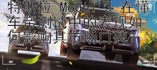 特斯拉 Model 3 在懂车帝测试中的表现如何影响其市场口碑？