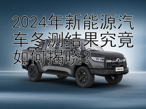 2024年新能源汽车冬测结果究竟如何揭晓？