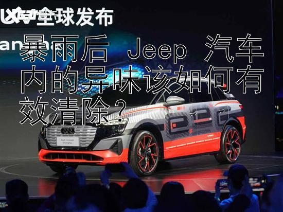 暴雨后 Jeep 汽车内的异味该如何有效清除？