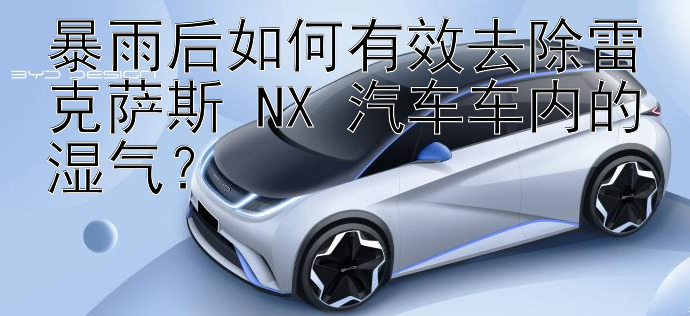 暴雨后如何有效去除雷克萨斯 NX 汽车车内的湿气？