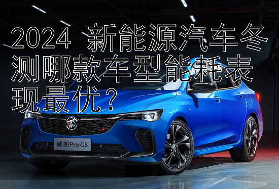 2024 新能源汽车冬测哪款车型能耗表现最优？